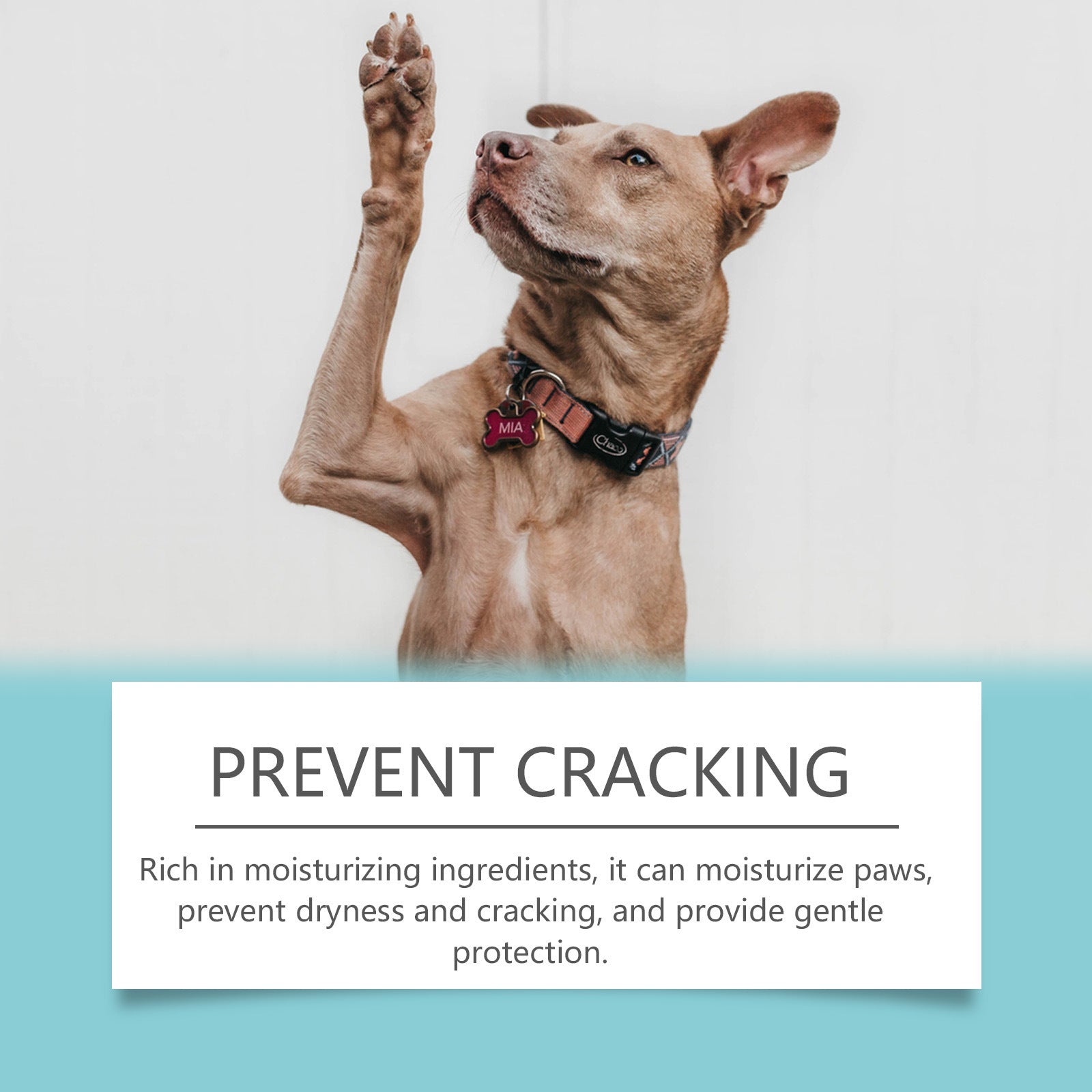 Dogs and Cats Paw Cleaner and Moisturizer